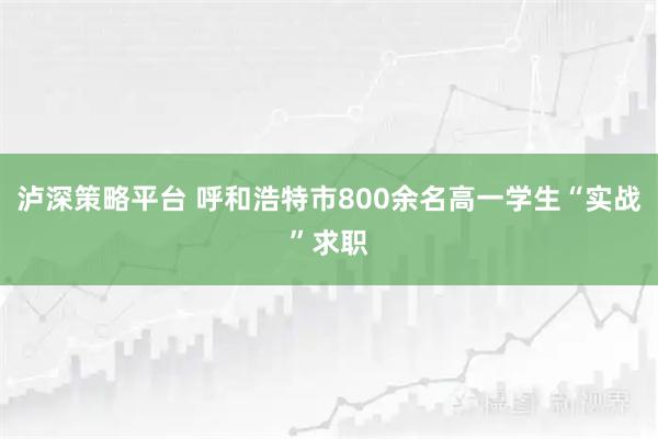 泸深策略平台 呼和浩特市800余名高一学生“实战”求职