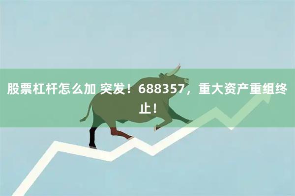 股票杠杆怎么加 突发！688357，重大资产重组终止！