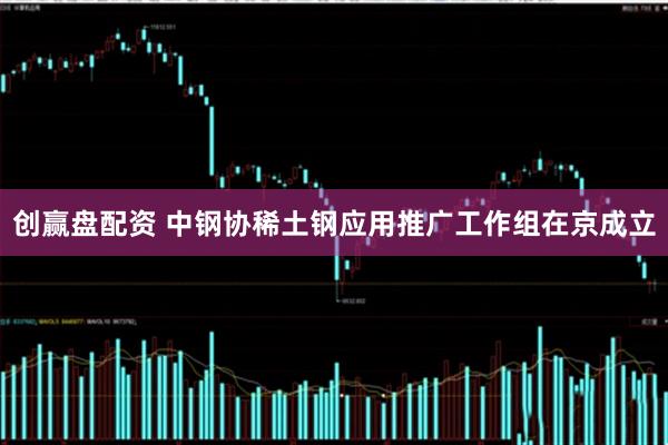 创赢盘配资 中钢协稀土钢应用推广工作组在京成立