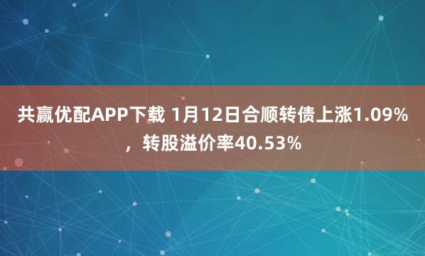共赢优配APP下载 1月12日合顺转债上涨1.09%，转股溢价率40.53%