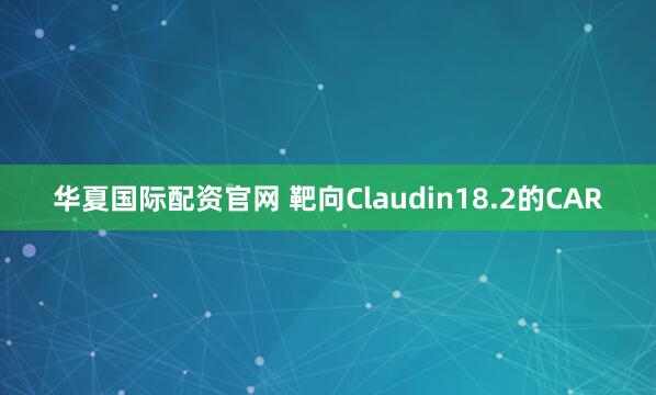 华夏国际配资官网 靶向Claudin18.2的CAR
