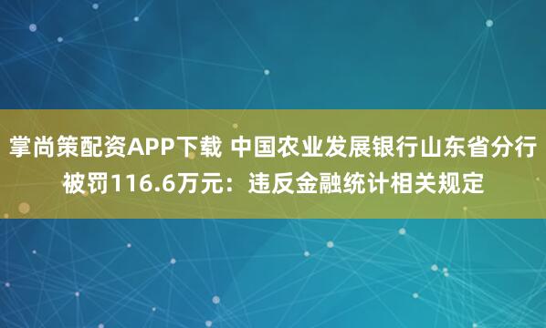 掌尚策配资APP下载 中国农业发展银行山东省分行被罚116.6万元：违反金融统计相关规定
