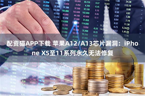 配资猫APP下载 苹果A12/A13芯片漏洞：iPhone XS至11系列永久无法修复